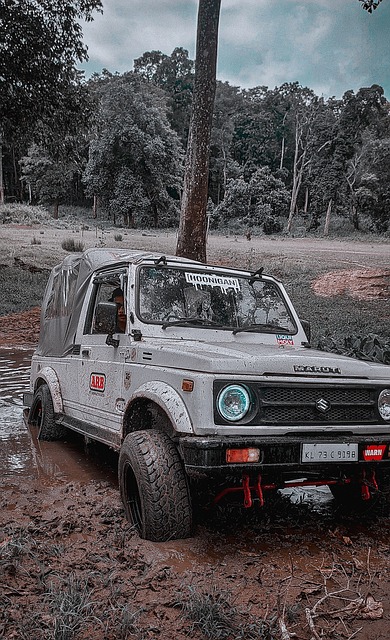 立了新的标 立了新的标