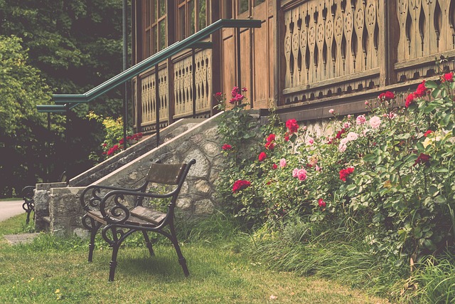 同时也成为 同时也成为