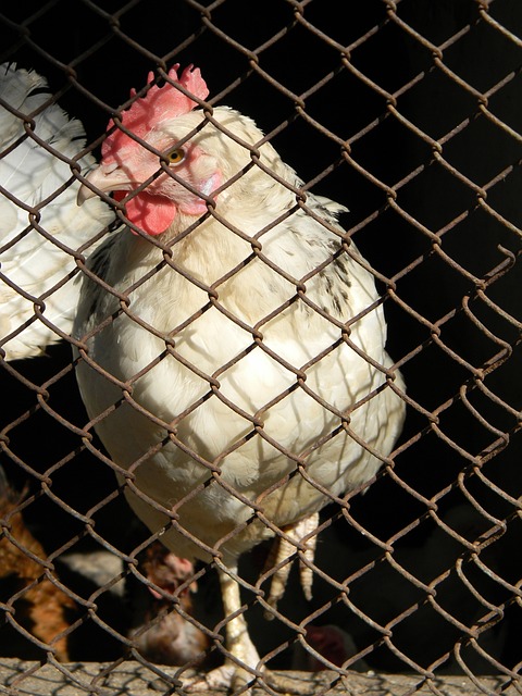 极大的毅力 极大的毅力