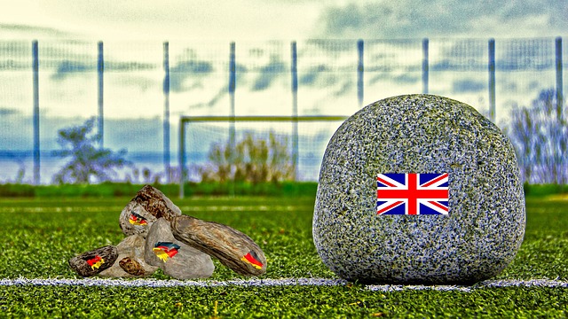 体体育生态 体体育生态