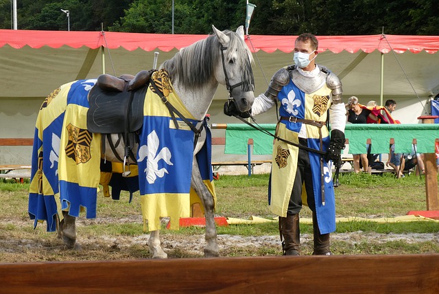 加强对球迷 加强对球迷