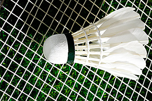 许多专业球 许多专业球