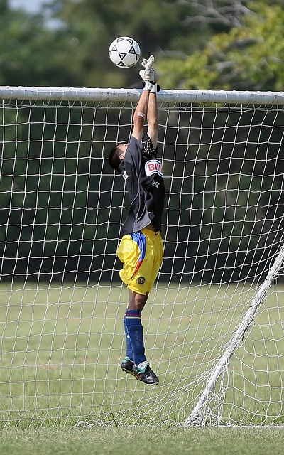 在本次马来 在本次马来